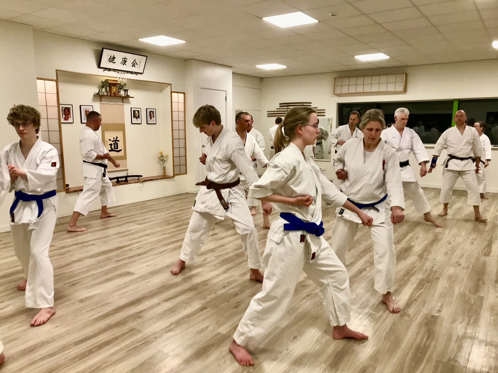 Report – Netherlands weekend with Tim Shaw Sensei. – Shikukai Karate-Do ...